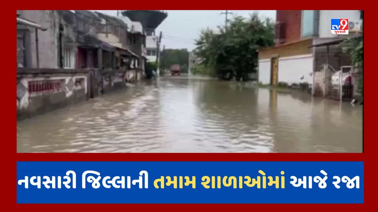 Navsari Video : મોડીરાત્રે મેઘરાજાની તોફાની બેટિંગ, જિલ્લાની તમામ શાળાઓમાં આજે રજા જાહેર કરાઇ