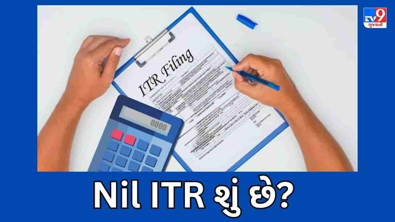 Income Tax Return : Nil ITR શું છે? જાણો કોણ આ રિટર્ન ફાઈલ કરી શકે છે અને તેના ફાયદા શું છે