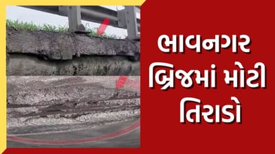 Guajarti Video: ભાવનગરની માલેશ્રી નદી પર બાંધવામાં આવેલા બ્રિજમાં મોટી તિરાડો, મનપા કે NHAI...કોણ કરશે સમારકામ ?