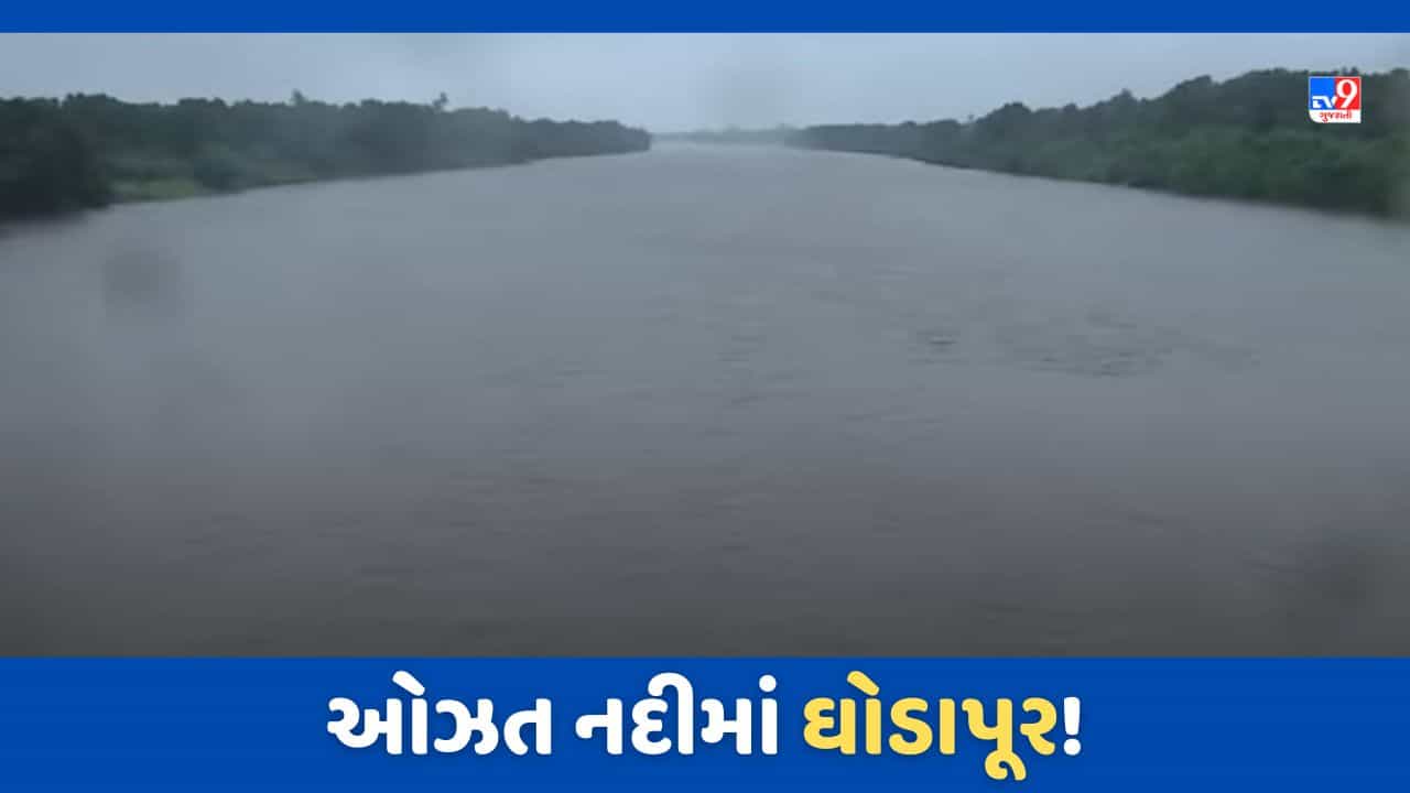 Monsoon 2023: જૂનાગઢમાં ઓઝત નદી બેકાંઠે, નદીમાં ઘોડાપૂરની સ્થિતિ, જુઓ Video