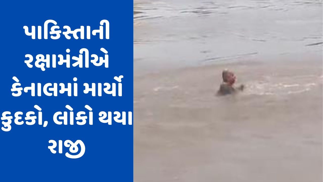 Viral Video: Pakistanના રક્ષા મંત્રીએ નહેરમાં માર્યો કુદકો, લોકો ખુશીથી તાળીઓ પાડવા લાગ્યા, જુઓ વીડિયો