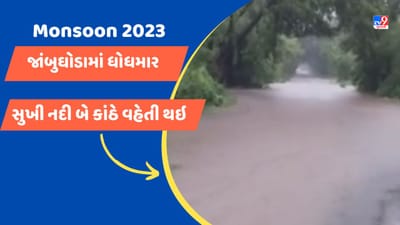 Panchmahal Rain Video : જાંબુઘોડામાં ત્રણ કલાકમાં ત્રણ ઇંચ વરસાદ ખાબક્યો, સુખી નદી બે કાંઠે વહેતી થઇ Panchmahal Rain Video : જાંબુઘોડામાં ત્રણ કલાકમાં ત્રણ ઇંચ વરસાદ ખાબક્યો, સુખી નદી બે કાંઠે વહેતી થઇ