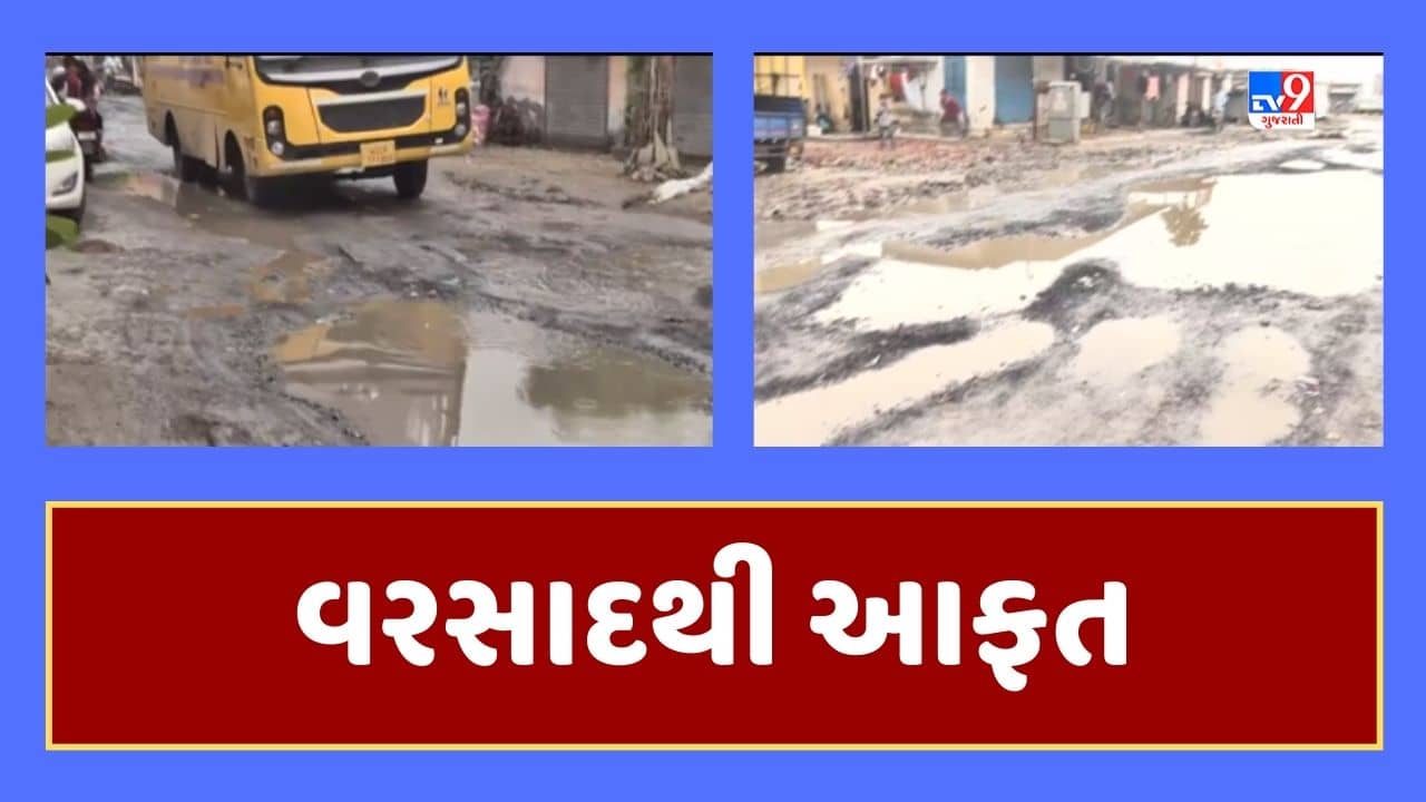 Monsoon 2023 : ભારે વરસાદને પગલે ગુજરાતમાં કુલ 130 લોકોના મોત, 312 રસ્તા ધોવાયા, 6 પુલ-વિયરના સ્ટ્રક્ચર્સ તૂટયા, જૂઓ Video