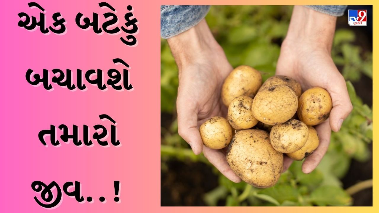 Potato For Cleaning : માત્ર ખાવા માટે જ નહીં, પરંતુ સાફ-સફાઈ માટે પણ ઉપયોગી છે બટેકા, કારના કાચથી લઈને આ વસ્તુઓ માટે ઉપયોગી છે-જુઓ Video