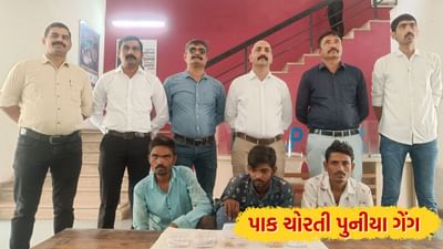 લ્યો કરો વાત, હવે ચોરી કરવામાં ખેતરનો પાક પણ બાકી નથી રાખતા ચોર, પોલીસથી બચવા અપનાવે છે અવનવાં કીમિયા
