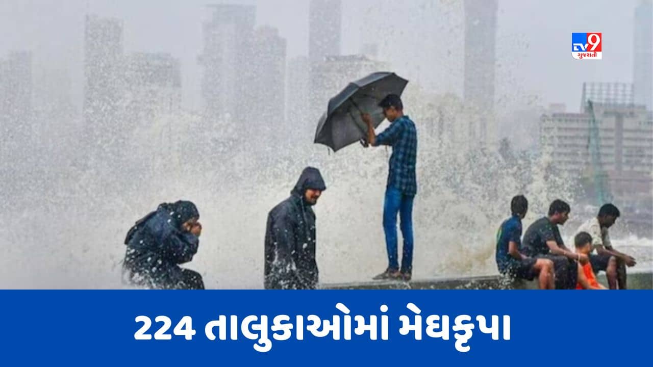 Monsoon 2023: છેલ્લા 24 કલાકમાં 224 તાલુકામાં મેઘકૃપા, કચ્છમાં સીઝનનો સૌથી વધુ વરસાદ વરસ્યો, જુઓ Video