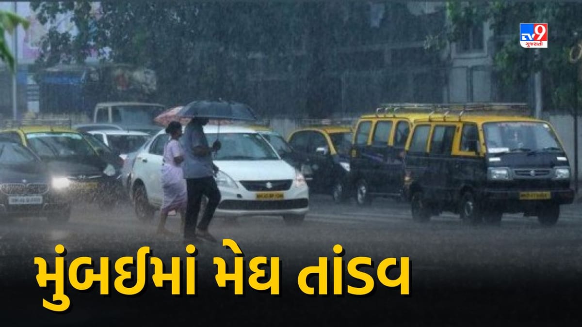 Mumbai Rain Breaking: વરસાદને લઈ મુંબઈમાં રેડ એલર્ટ, થાણે, નવી મુંબઈ, રાયગઢ, પાલઘરમા હવામાન વિભાગે કરી અતિભારે વરસાદની આગાહી Mumbai Rain Breaking: વરસાદને લઈ મુંબઈમાં રેડ એલર્ટ, થાણે, નવી મુંબઈ, રાયગઢ, પાલઘરમા હવામાન વિભાગે કરી અતિભારે વરસાદની આગાહી