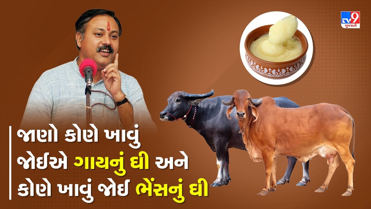 Rajiv Dixit Health Tips: રાજીવ દીક્ષિતે કયા લોકો માટે જણાવ્યું ગાયની જગ્યાએ ભેસનું ઘી ખાવુ ફાયદાકારક, વાંચો શું છે ગાય અને ભેંસના ઘી વચ્ચેનો ફરક, જુઓ Video Rajiv Dixit Health Tips: રાજીવ દીક્ષિતે કયા લોકો માટે જણાવ્યું ગાયની જગ્યાએ ભેસનું ઘી ખાવુ ફાયદાકારક, વાંચો શું છે ગાય અને ભેંસના ઘી વચ્ચેનો ફરક, જુઓ Video