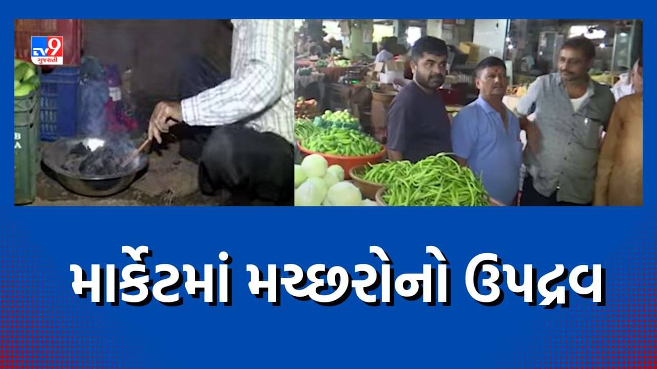 Rajkot: મનપાની ઘોર બેદરકારીના કારણે લોકો ત્રાહિમામ, જ્યુબેલી શાકમાર્કેટમાં મચ્છરોનો ઉપદ્રવ, જુઓ Video