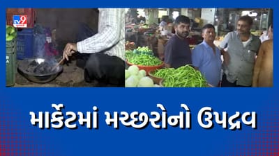 Rajkot: મનપાની ઘોર બેદરકારીના કારણે લોકો ત્રાહિમામ, જ્યુબેલી શાકમાર્કેટમાં મચ્છરોનો ઉપદ્રવ, જુઓ Video