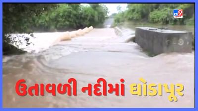 Rajkot Rain Video : જામકંડોરણામાં ઉતાવળી નદીમાં આવ્યુ ઘોડાપૂર, રાયડીથી ખજુડા, રોઘલ જવા માટેનો કોઝવે ડૂબ્યો Rajkot Rain Video : જામકંડોરણામાં ઉતાવળી નદીમાં આવ્યુ ઘોડાપૂર, રાયડીથી ખજુડા, રોઘલ જવા માટેનો કોઝવે ડૂબ્યો