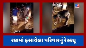 Patan Rescue Video : ભારે વરસાદ વચ્ચે સાંતલપુરના રણમાં કારમાં ફસાયો પરિવાર, પોલીસે ટ્રેકટરની મદદથી કર્યુ રેસ્ક્યૂ Patan Rescue Video : ભારે વરસાદ વચ્ચે સાંતલપુરના રણમાં કારમાં ફસાયો પરિવાર, પોલીસે ટ્રેકટરની મદદથી કર્યુ રેસ્ક્યૂ