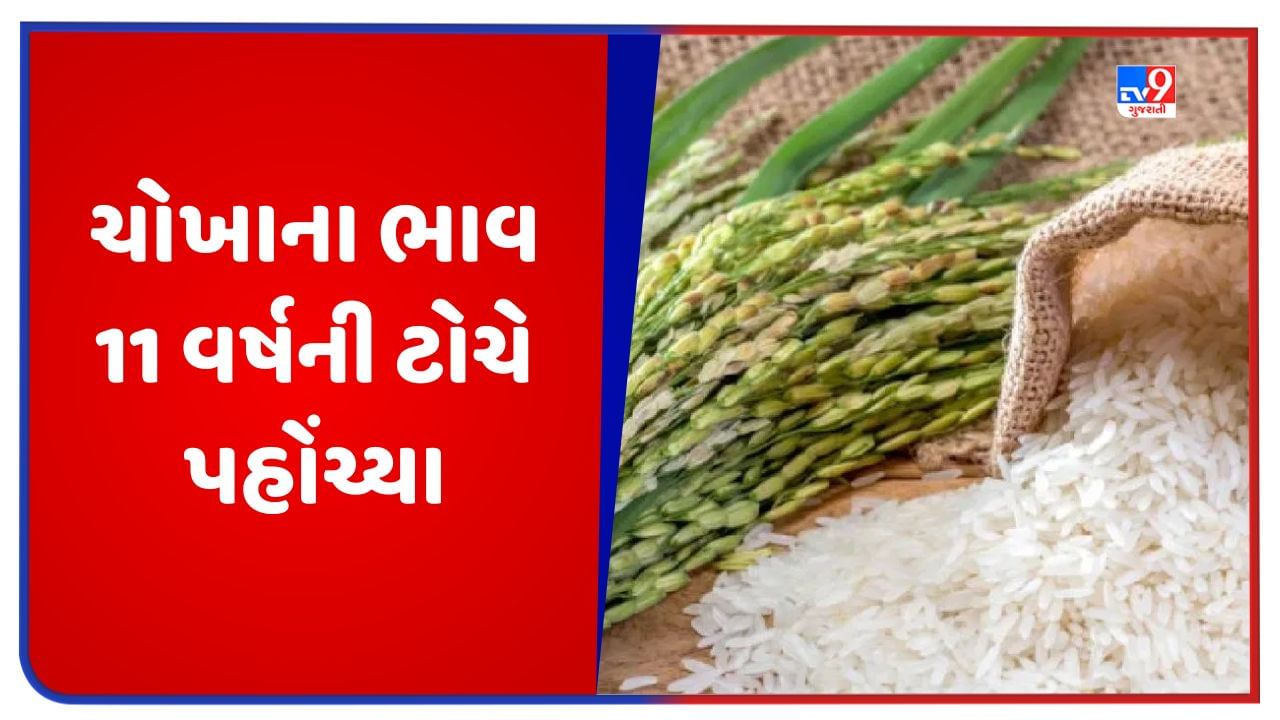 Rice Price ટામેટા અને દાળમાં ભાવ વધારા બાદ હવે ચોખાના ભાવમા ભડકો! 11
