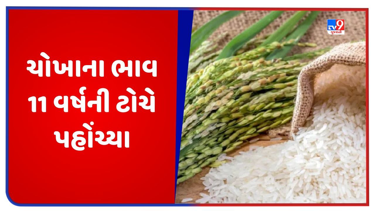 Rice Price: ટામેટા અને દાળમાં ભાવ વધારા બાદ હવે ચોખાના ભાવમા ભડકો! 11 વર્ષની ટોચે પહોંચ્યો