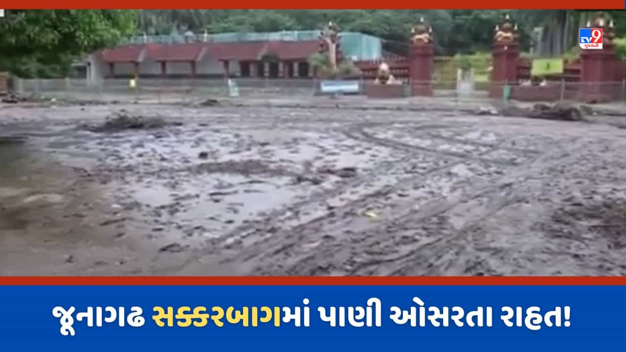 Junagadh Rain: જૂનાગઢના સક્કરબાગ માં પાણી ઓસર્યા, સૌથી મોટા પ્રાણી સંગ્રહાલયને લઈ સામે આવી સ્થિતિ-Video