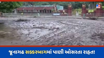 Junagadh Rain: જૂનાગઢના સક્કરબાગ માં પાણી ઓસર્યા, સૌથી મોટા પ્રાણી સંગ્રહાલયને લઈ સામે આવી સ્થિતિ-Video