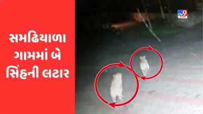 Gir Somnath : સમઢિયાળા ગામે રહેણાંક વિસ્તારમાં પ્રવેશ્યા બે સિંહ, CCTVમાં કેદ થઇ ઘટના, જુઓ Video