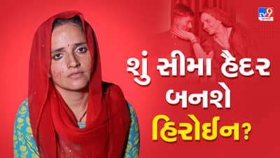 Pakistanની સીમા હૈદરને બોલિવુડ ફિલ્મમાં કામ કરવાની મળી ઓફર? પ્રોડ્યુસરે કરી એપ્રોચ