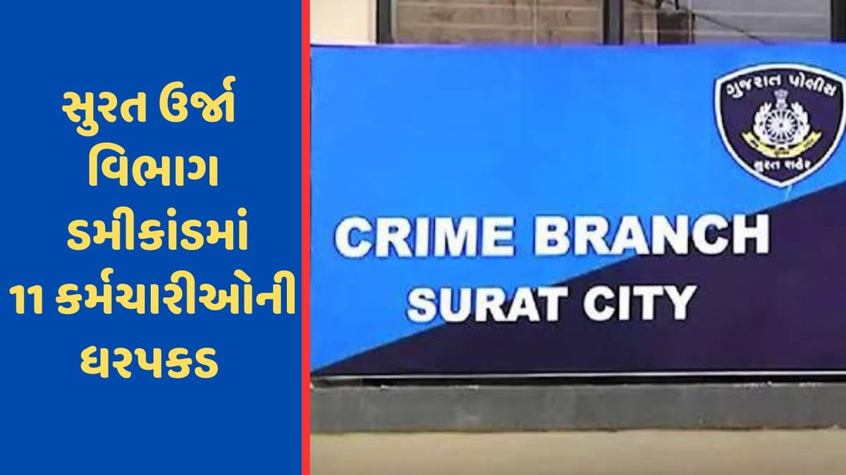 Breaking News : સુરત ઉર્જાવિભાગ ડમીકાંડમાં ક્રાઇમ બ્રાન્ચે 5 મહિલા કર્મચારી સહીત 11 કર્મચારીઓની ધરપકડ કરી Breaking News : સુરત ઉર્જાવિભાગ ડમીકાંડમાં ક્રાઇમ બ્રાન્ચે 5 મહિલા કર્મચારી સહીત 11 કર્મચારીઓની ધરપકડ કરી
