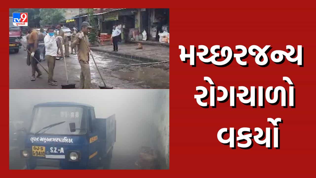 Surat: જીલ્લામાં મચ્છરજન્ય રોગચાળો વકર્યો, ઉધના, પાંડેસરા, વડોદ ગામમાં ઝાડા ઉલ્ટીના કેસમાં વધારો થતાં સર્વેની કામગીરી હાથ ધરાઇ, જુઓ Video
