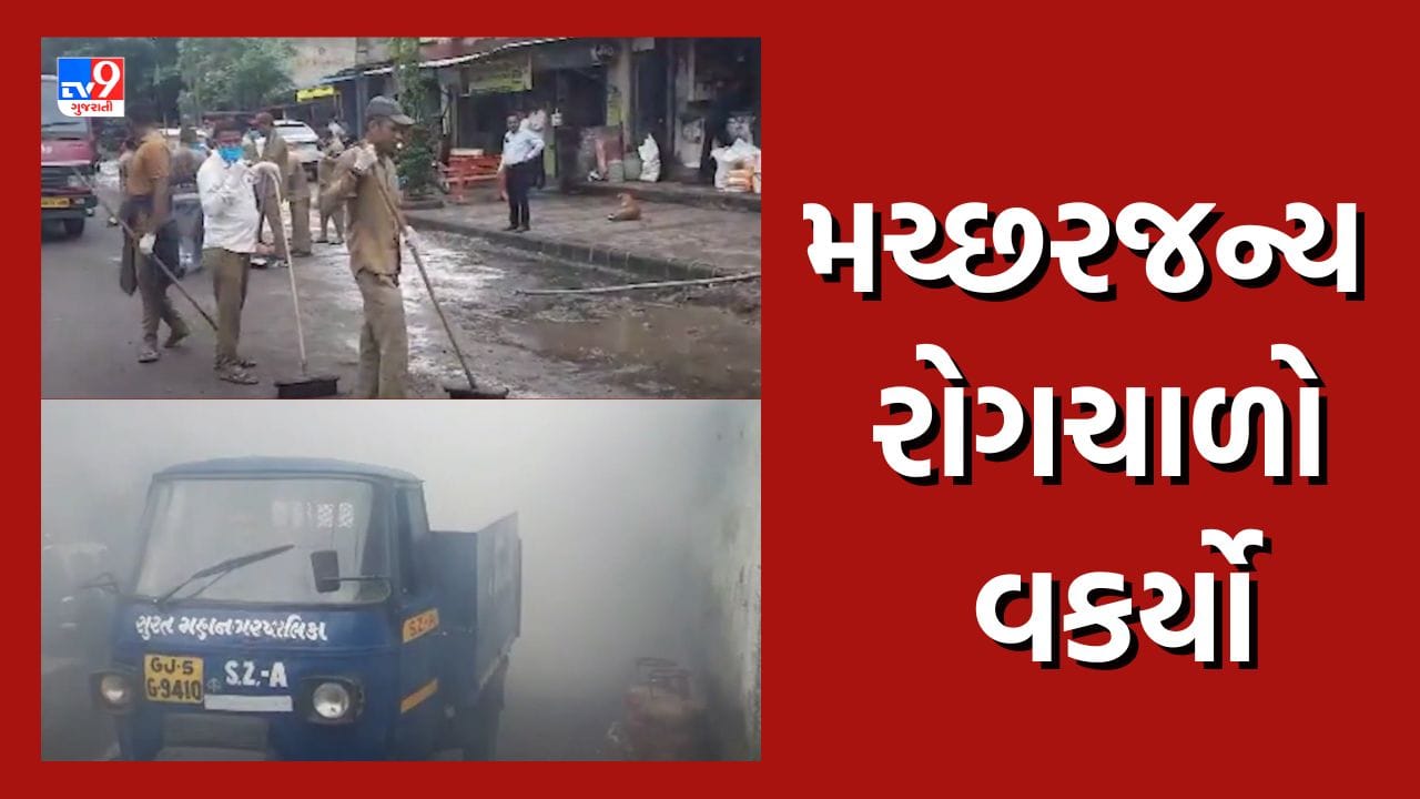 Surat: જીલ્લામાં મચ્છરજન્ય રોગચાળો વકર્યો, ઉધના, પાંડેસરા, વડોદ ગામમાં ઝાડા ઉલ્ટીના કેસમાં વધારો થતાં સર્વેની કામગીરી હાથ ધરાઇ, જુઓ Video Surat: જીલ્લામાં મચ્છરજન્ય રોગચાળો વકર્યો, ઉધના, પાંડેસરા, વડોદ ગામમાં ઝાડા ઉલ્ટીના કેસમાં વધારો થતાં સર્વેની કામગીરી હાથ ધરાઇ, જુઓ Video