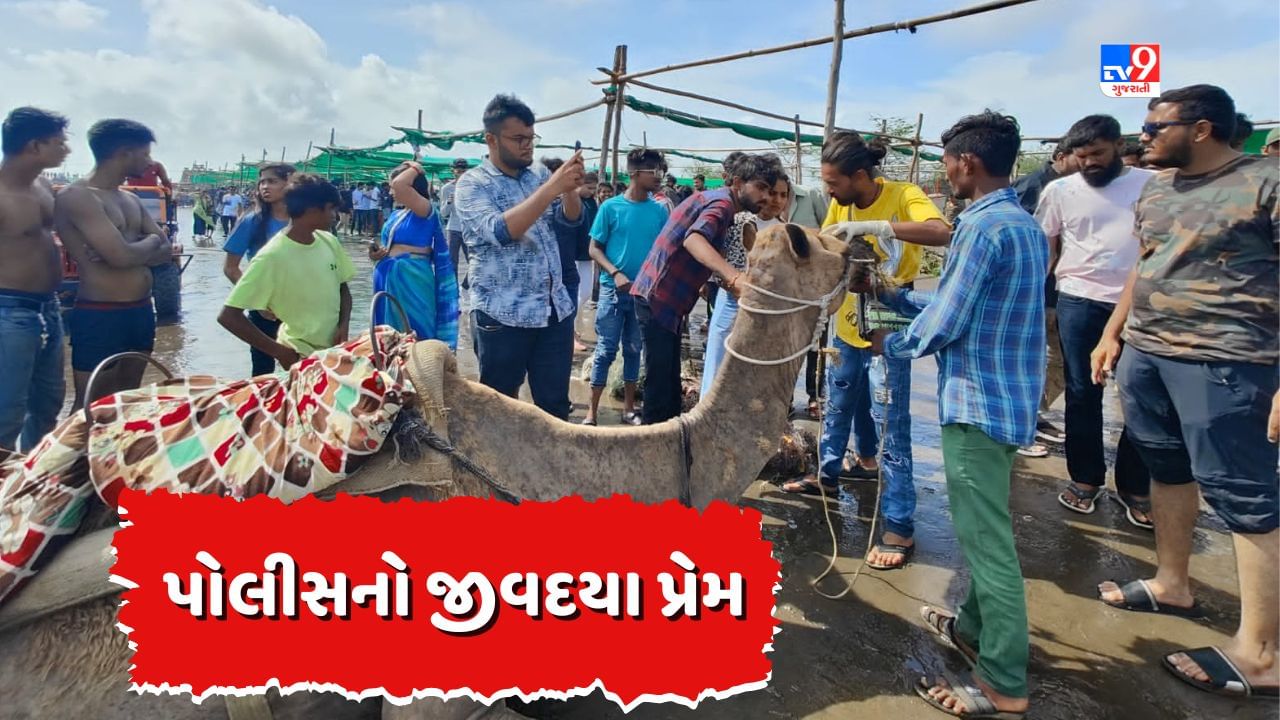 Surat : પોલીસનો જીવદયા પ્રેમ જોઈ તમે પણ કહેશો, વાહ ખાખી વાહ, જુઓ Video