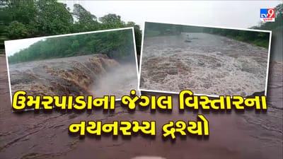 Monsoon 2023 : સુરતના ઉમરપાડામાં દેવઘાટ ધોધનો નયનરમ્ય દ્રશ્યો Videoમાં જુઓ