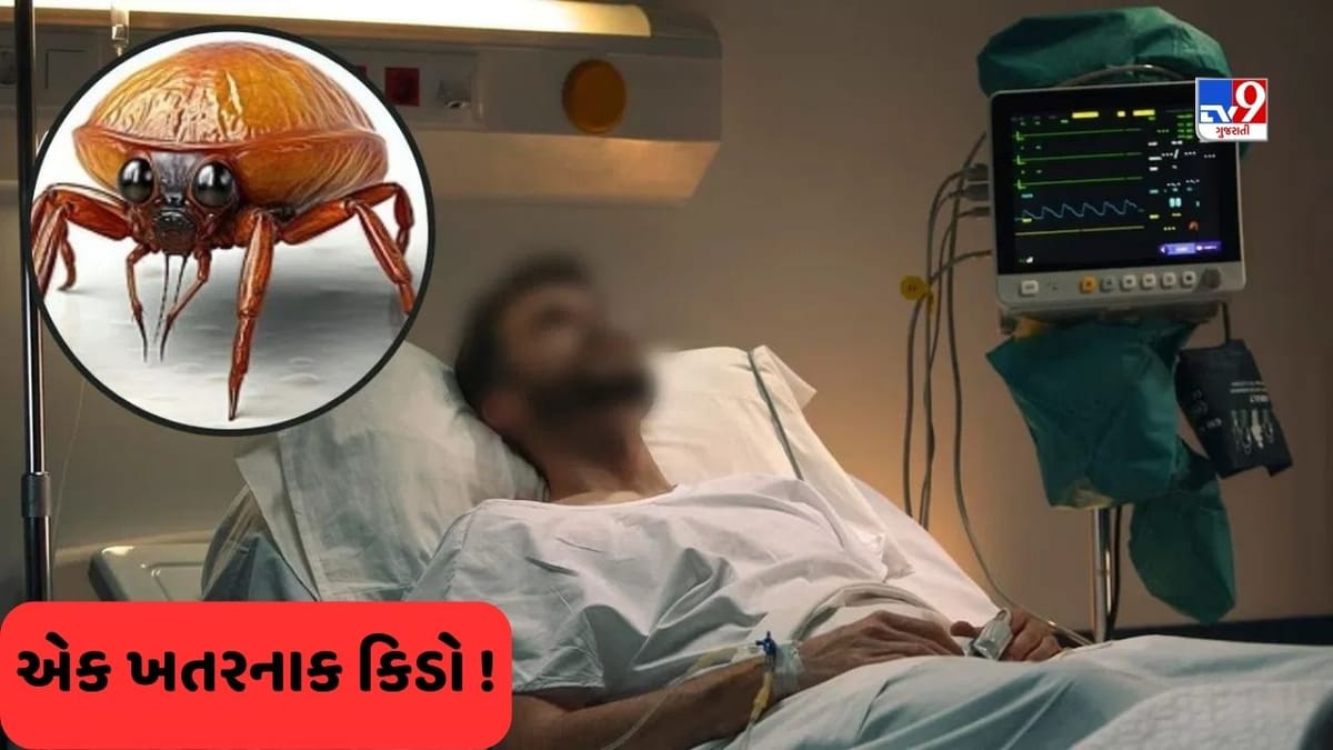 OMG: એક કીડાએ વ્યક્તિની જીંદગી બરબાદ કરી, સારવારમાં ખર્ચ્યા 52 લાખ, છતાં કાપવા પડ્યા શરીરના આ ભાગો !