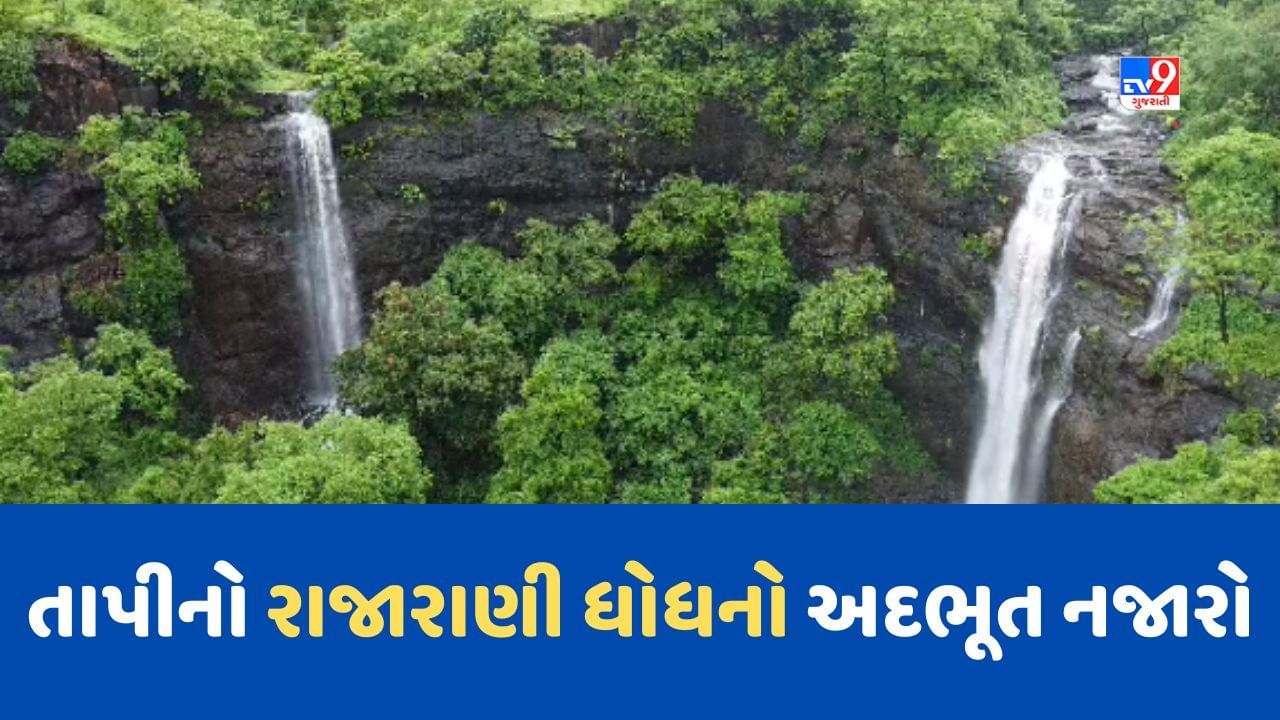 વરસાદ બાદ તાપીનો રાજારાણી ધોધ થયો સક્રિય, ધોધને માણવા ઉમટી રહ્યા છે સહેલાણીઓ, જૂઓ ધોધનો અદભૂત Video