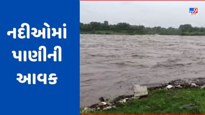Tapi Rain : તાપી જિલ્લામાં રાત્રી દરમિયાન ધોધમાર વરસાદ, નદી કિનારાના ગામોને એલર્ટ કરાયા, જુઓ Video