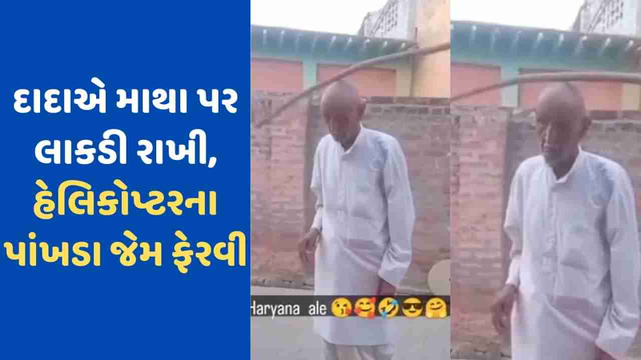 Video Viral: દાદાને જોઈ યુવાનના પણ હોંશ ઉડી ગયા, માથા પર જોરદાર રીતે ફેરવી લાકડી