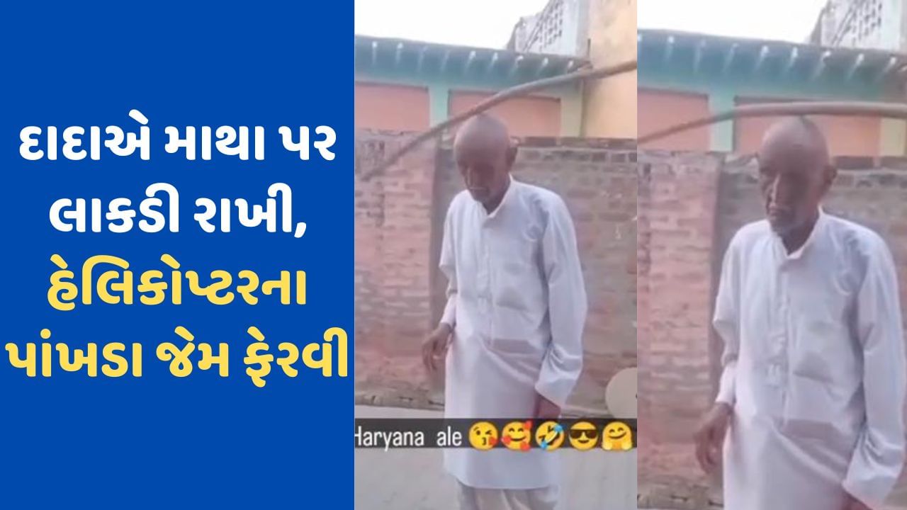 Video Viral: દાદાને જોઈ યુવાનના પણ હોંશ ઉડી ગયા, માથા પર જોરદાર રીતે ફેરવી લાકડી