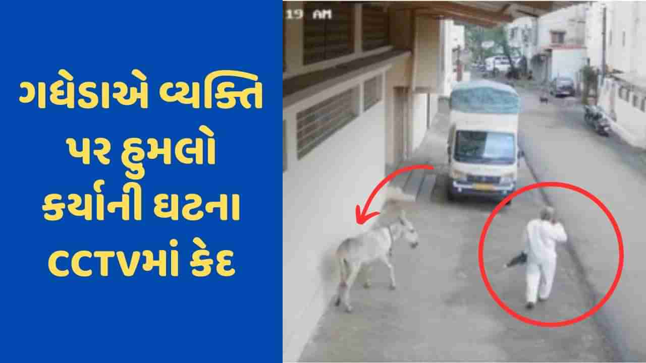 Viral Video : ગધેડાએ વૃદ્ધ પર કર્યો જીવલેણ હુમલો, ડરાવનારી ઘટનાના CCTV ફૂટેજ આવ્યા સામે