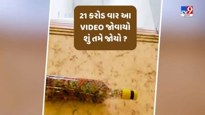 Most Viral Video: 21 કરોડ વાર આ Video જોવાયો છે, તમે જોયો કે નહી ? જુઓ અને જાણો એવું તો શું ખાસ છે