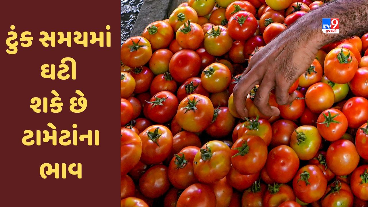 ગૃહિણીઓ માટે સારા સમાચાર, કેન્દ્ર સરકારના આ નિર્ણયથી ટુંક સમયમાં ઘટી શકે છે ટામેટાંના ભાવ