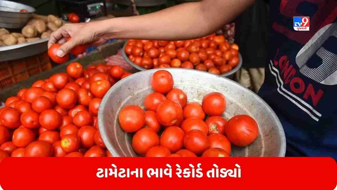 Tomato Price: ટામેટાના ભાવે અહીં રેકોર્ડ તોડ્યો, 7 અઠવાડિયામાં વધ્યા 7 ગણા ભાવ