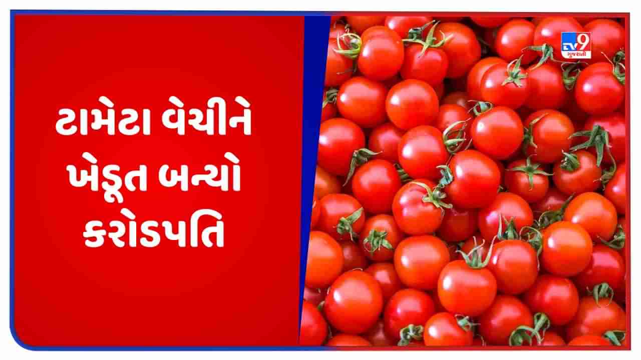 Tomato Price: ટામેટા વેચીને આ ખેડૂત બન્યો કરોડપતિ, આ રીતે કરી 2.8 કરોડ રૂપિયાની કમાણી