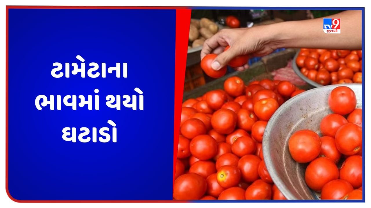 Tomato Price: ટામેટા 5 દિવસમાં 49 રૂપિયા સસ્તા થયા, જાણો જુદા-જુદા શહેરના ભાવ