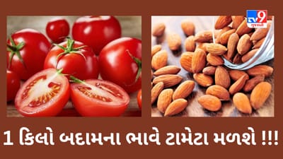 Tomato Price Hike : શું 1 કિલો બદામના ભાવ સુધી મોંઘા થશે ટામેટા? ભારે વરસાદમાં ઘણા વિસ્તારોમાં પાક ધોવાયો