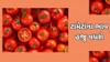 Commodity Market Today: ટામેટાં હજુ વધારે રડાવશે ,300 રૂપિયા સુધી જઈ શકે છે ભાવ, 2 મહિના માટે રાહતનો અવકાશ ઓછો