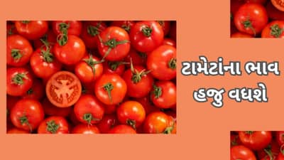 Commodity Market Today: ટામેટાં હજુ વધારે રડાવશે ,300 રૂપિયા સુધી જઈ શકે છે ભાવ, 2 મહિના માટે રાહતનો અવકાશ ઓછો
