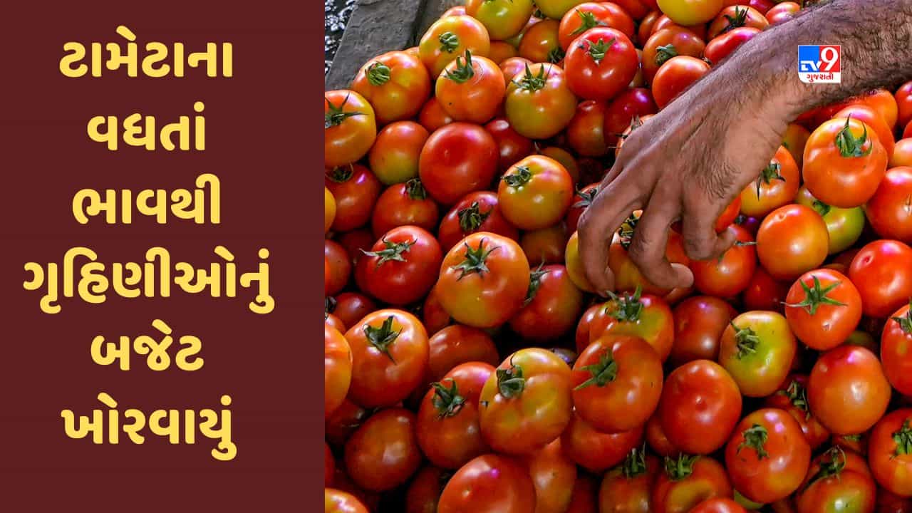 Gujarati Video : વડોદરામાં ટામેટાના વધતાં ભાવથી ગૃહિણીઓનું બજેટ ખોરવાયું, આક્રોશ વ્યક્ત કર્યો
