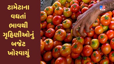 Gujarati Video : વડોદરામાં ટામેટાના વધતાં ભાવથી ગૃહિણીઓનું બજેટ ખોરવાયું, આક્રોશ વ્યક્ત કર્યો