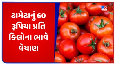 Tomato Price: સરકાર આ રાજ્યમાં 60 રૂપિયા કિલોના ભાવે વેચી રહી છે ટામેટા, સસ્તા અનાજની દુકાન પર શરૂ થયું વેચાણ