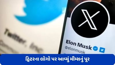Twitter Logo: ટ્વિટરનો લોગો બદલાતાની સાથે જ સોશિયલ મીડિયા પર આવ્યું મીમ્સનું પૂર