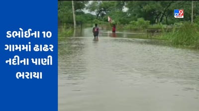 Vadodara : ડભોઈના 10 ગામોમાં ફરી વળ્યા ઢાઢર નદીના પાણી, મામલતદારે પ્રભાવિત ગામડાઓની લીધી મુલાકાત, જુઓ Video