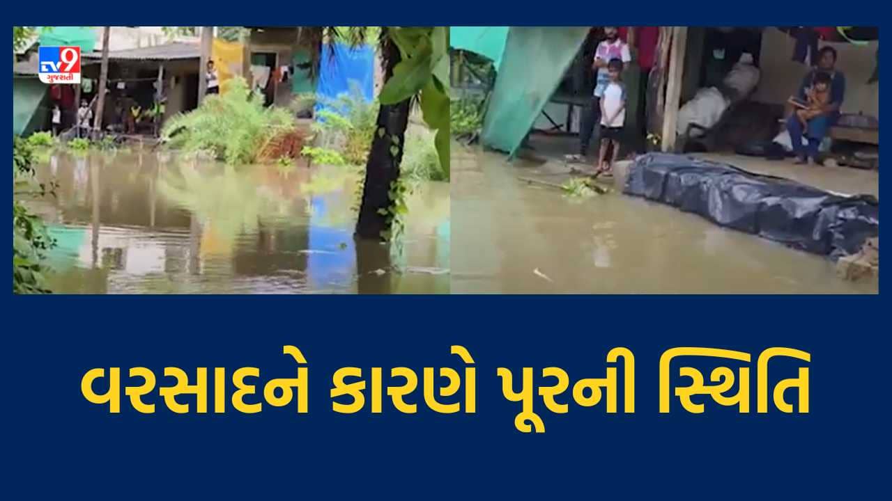 Valsad: માલવણ ગામમાં ભારે વરસાદને કારણે પૂરની સ્થિતિ, જલ્દી પાણીનો નિકાલ થાય તેવી લોકોની માગ, જુઓ Video