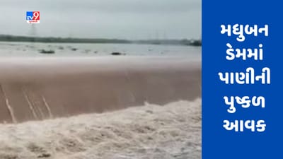 Valsad : મધુબન ડેમમાં પાણીની પુષ્કળ આવક , ડેમમાંથી 10,750 ક્યુસેક પાણી છોડાયું Valsad : મધુબન ડેમમાં પાણીની પુષ્કળ આવક , ડેમમાંથી 10,750 ક્યુસેક પાણી છોડાયું