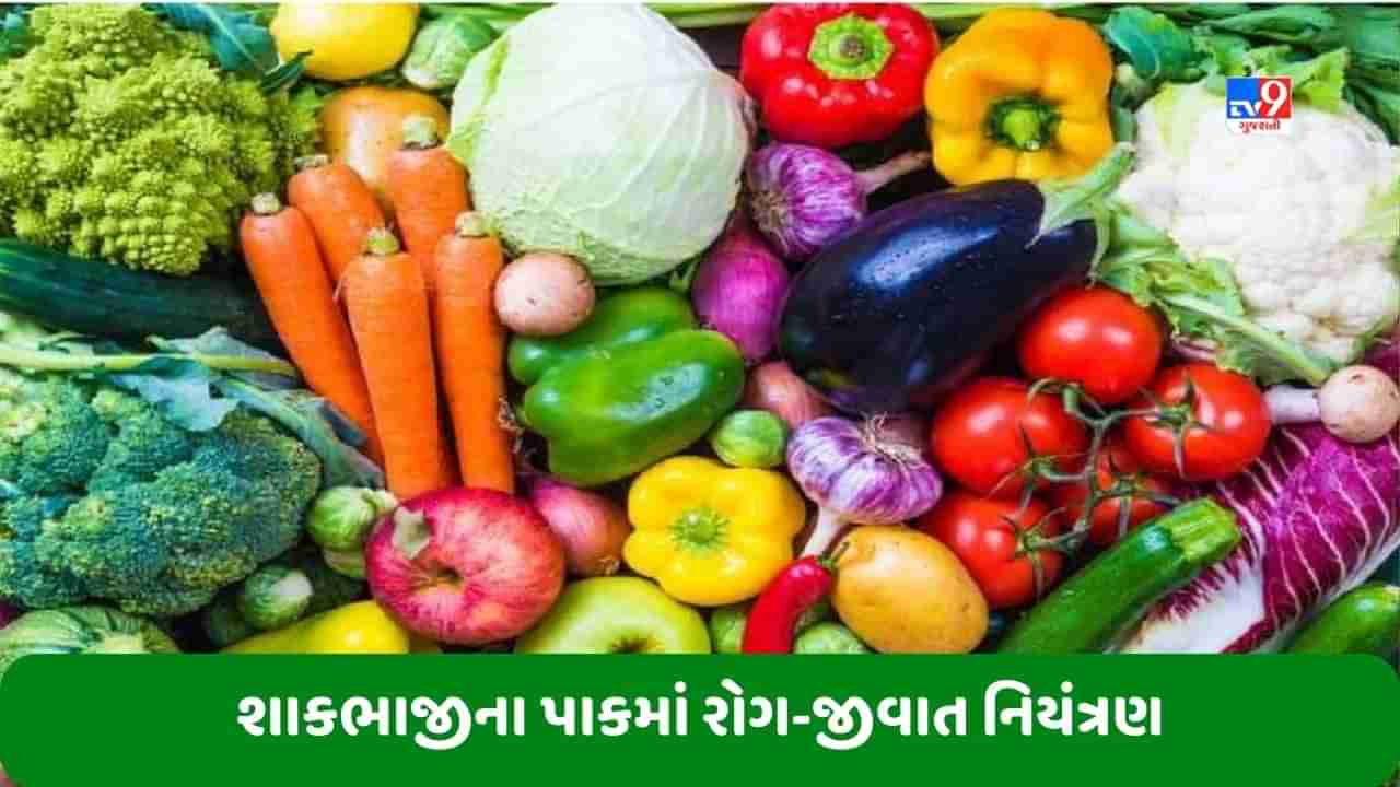 Agriculture: ખેડૂતોએ શાકભાજીના પાકમાં રોગ-જીવાતના નિયંત્રણની સાથે આ ખેતી કાર્યો કરવા જોઈએ