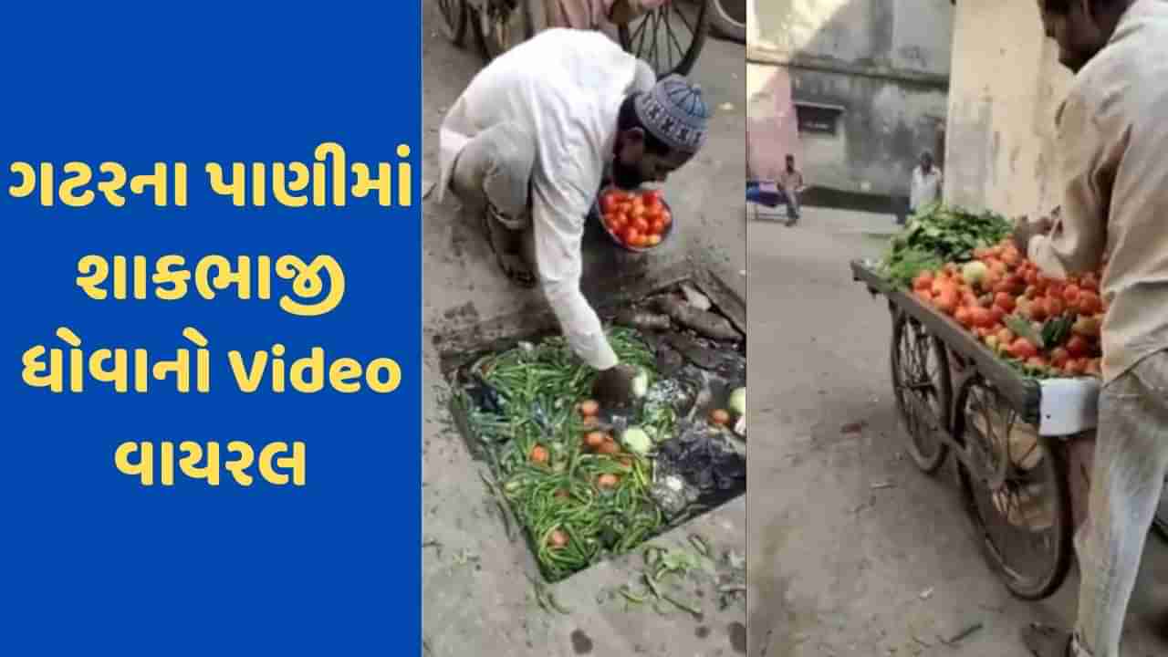 Viral Video: આ વીડિયો જોઈને કદાચ તમે શાકભાજી ખાતા બે વાર વિચારશો ! ગટરના પાણીથી શાકભાજી ધોતો જોવા મળ્યો ફેરિયો, જુઓ VIDEO